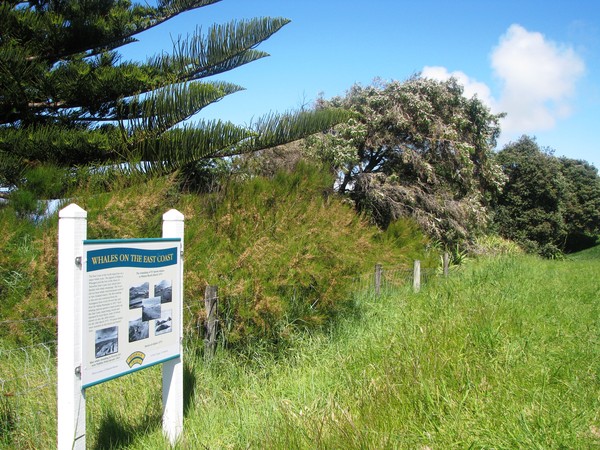 Whales area heritage sign